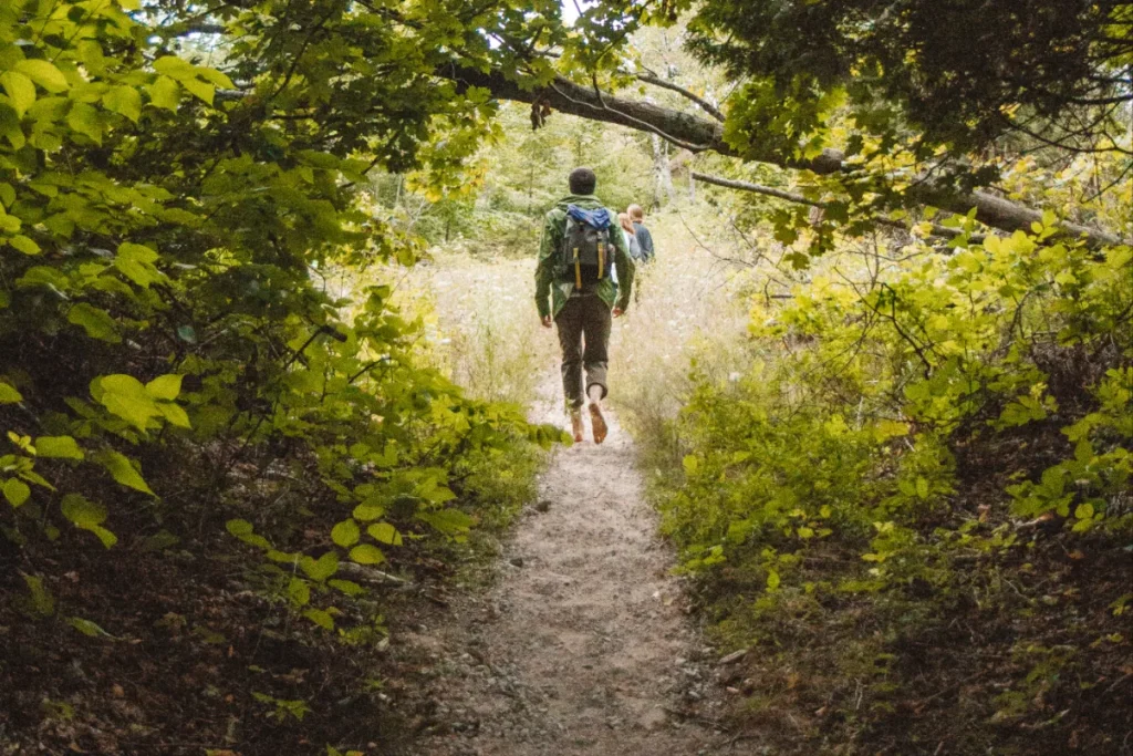 pagina-extra2-imagem-capa-14-zgZlaDkFc2