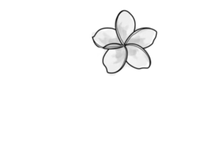 estabelecimento-2-logo-Z1a7f5ECu6