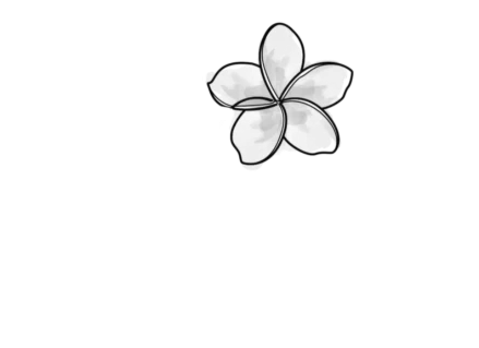 estabelecimento-2-logo-Z1a7f5ECu6